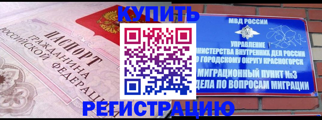 прописка в квартире в Завитинске